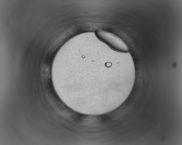X0000116600123200912312105