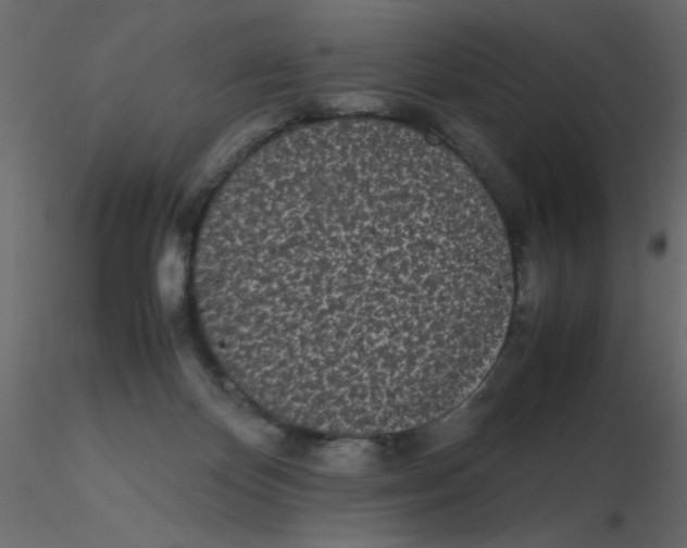 X0000116600124200912312105
