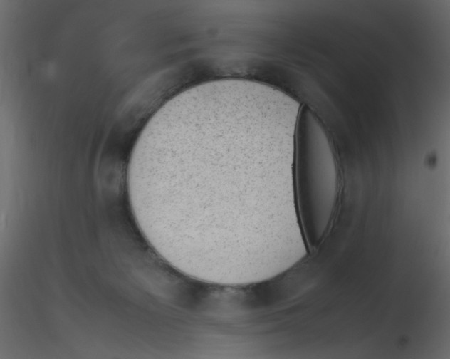 X0000116600125200912312105