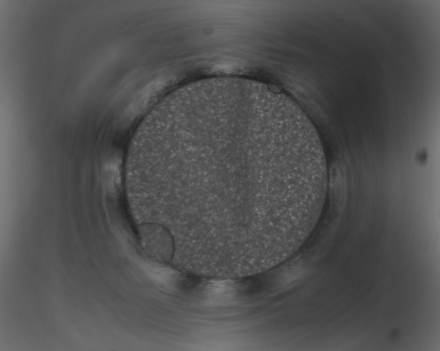 X0000116600127200912312105