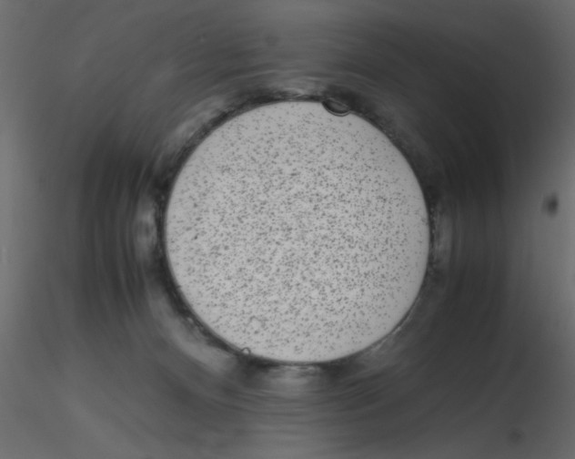 X0000116600128200912312105