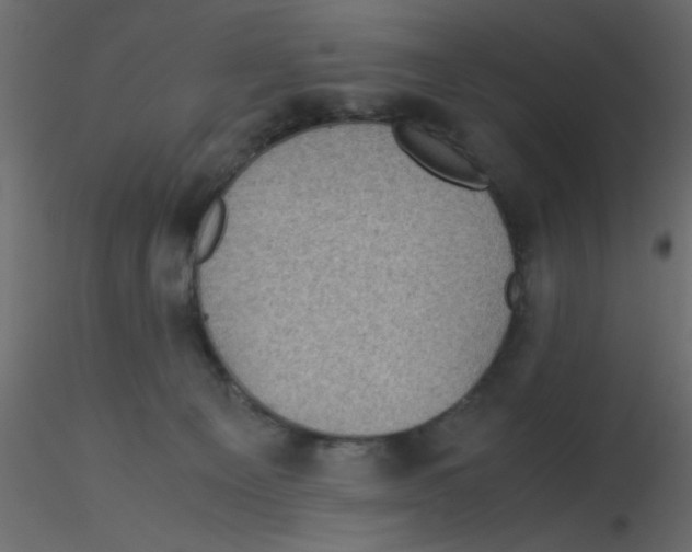 X0000116600129200912312105