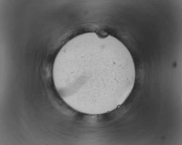 X0000116600131200912312105