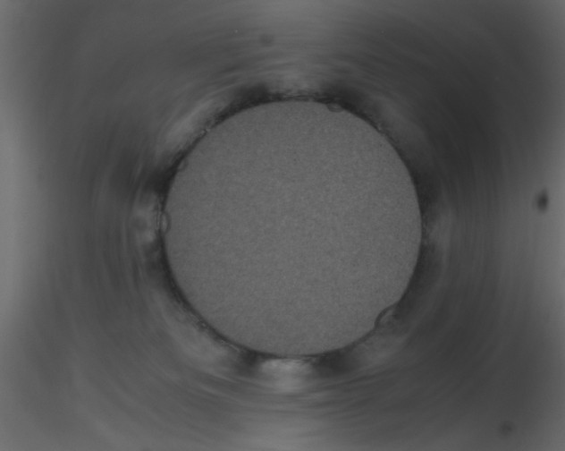 X0000116600133200912312105