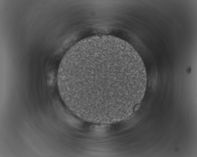 X0000116600134200912312105