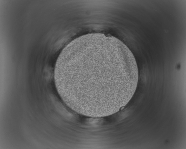 X0000116600135200912312105