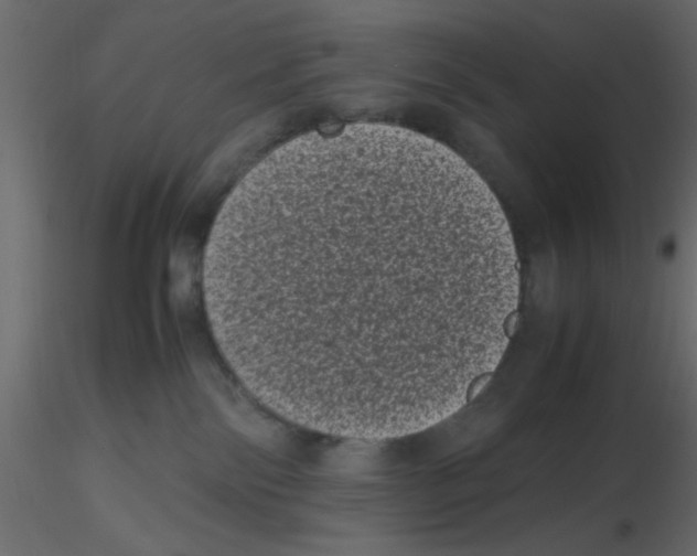 X0000116600138200912312105