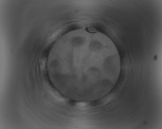 X0000116600139200912312105