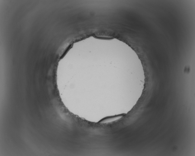 X0000116600144200912312105
