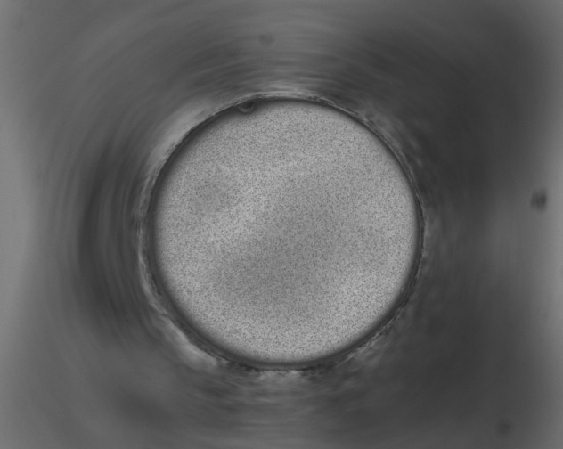 X0000116600145200912312104