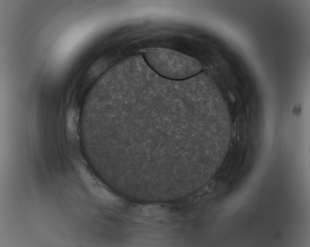 X0000116600146200912312104
