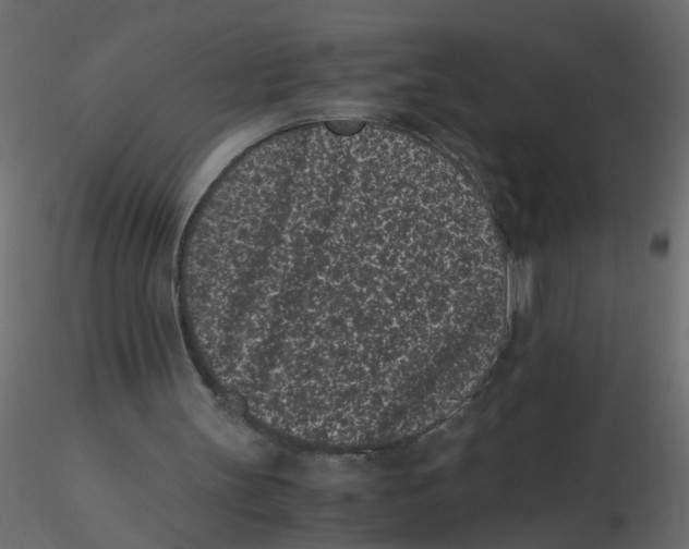 X0000116600147200912312104