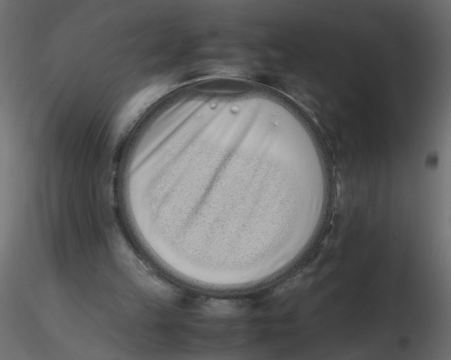 X0000116600149200912312104