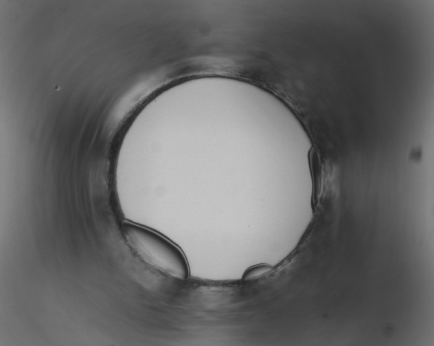 X0000116600150200912312104