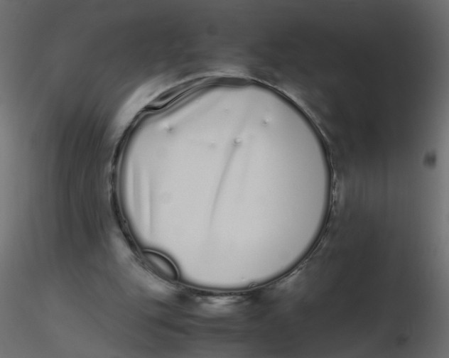 X0000116600151200912312104