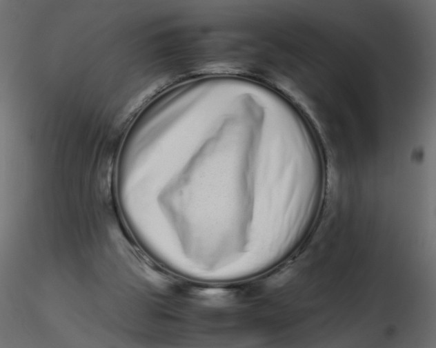 X0000116600153200912312104
