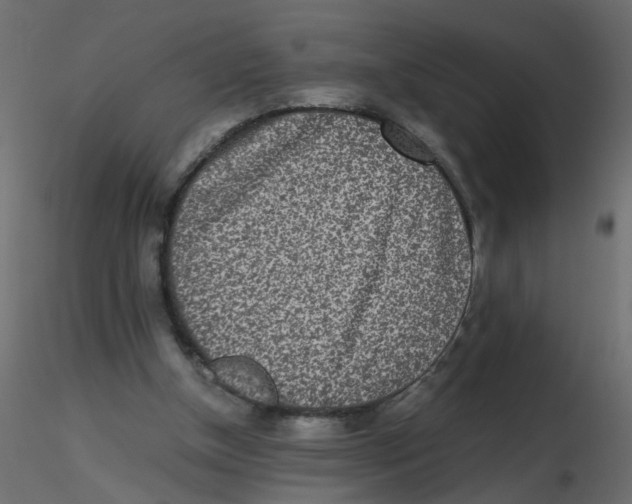 X0000116600154200912312104