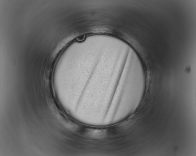 X0000116600155200912312104