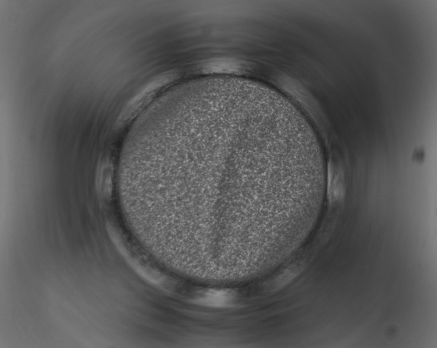 X0000116600157200912312104