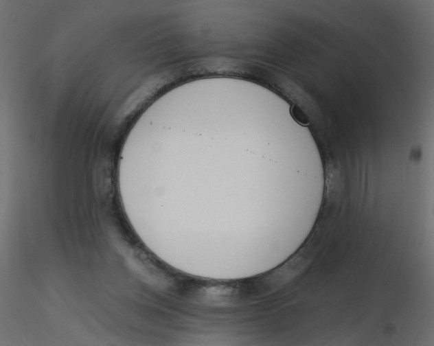 X0000116600158200912312104