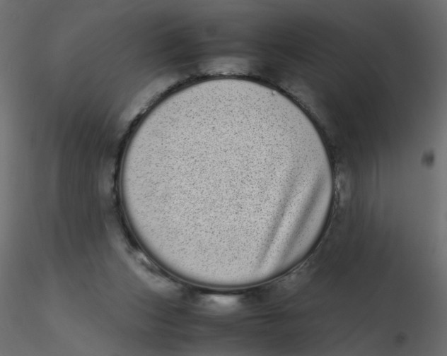 X0000116600159200912312104