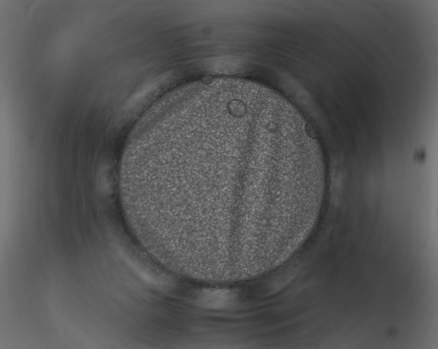 X0000116600161200912312104