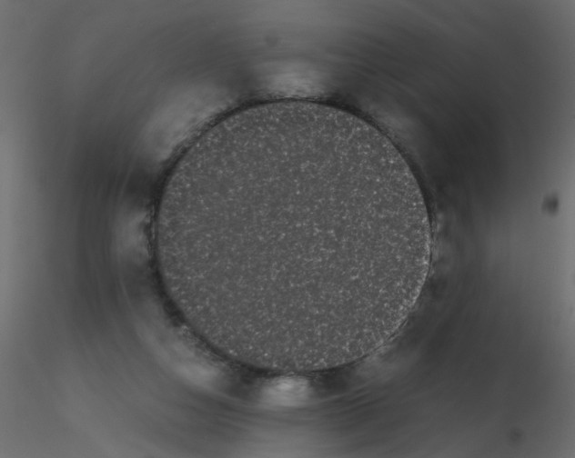 X0000116600162200912312104