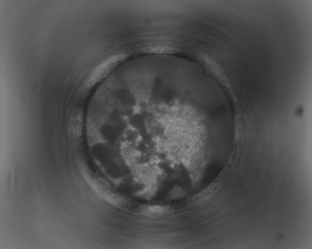 X0000116600163200912312104