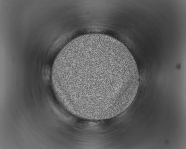X0000116600166200912312104