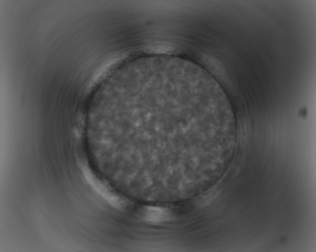 X0000116600167200912312104