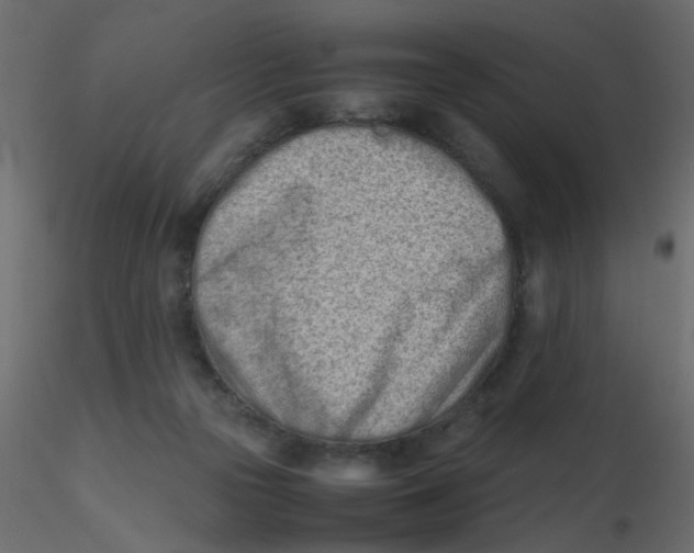 X0000116600169200912312104