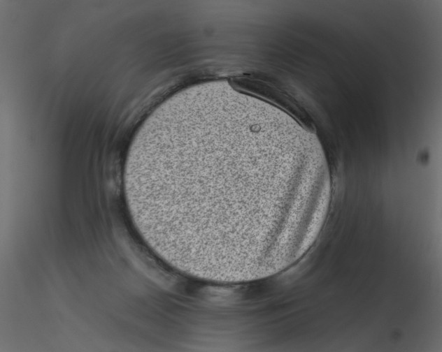 X0000116600170200912312104
