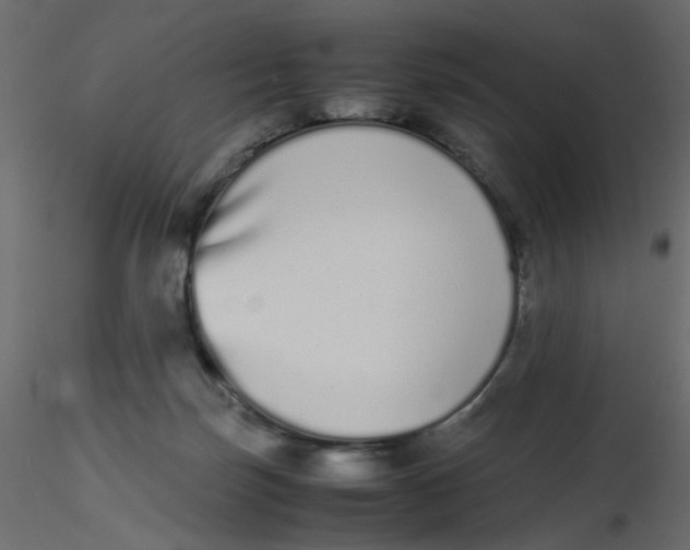 X0000116600171200912312104