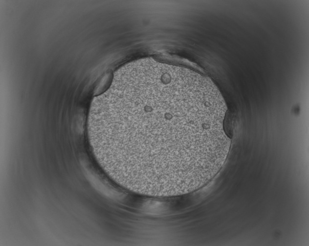 X0000116600174200912312104