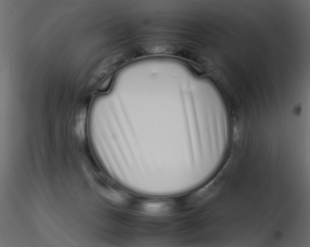 X0000116600175200912312104