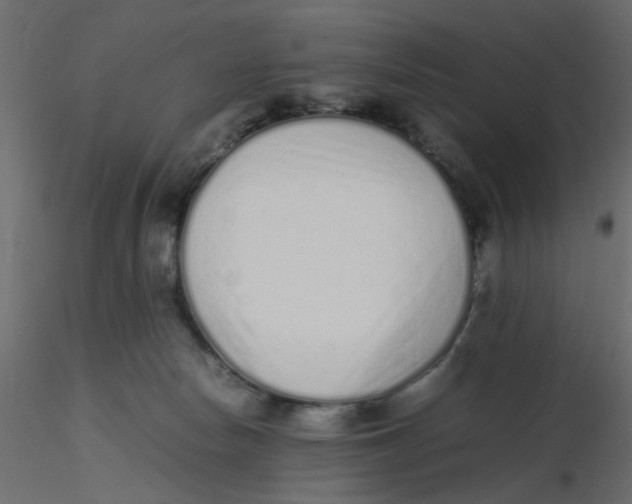 X0000116600178200912312104