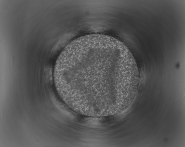 X0000116600182200912312104