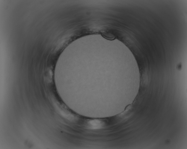 X0000116600183200912312104