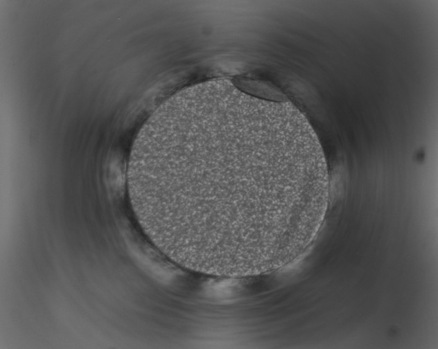 X0000116600186200912312104