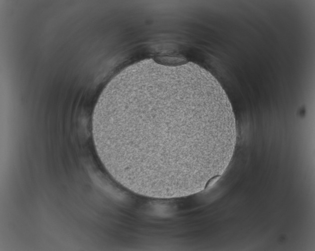 X0000116600187200912312105