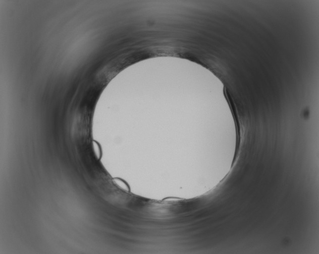 X0000116600190200912312105