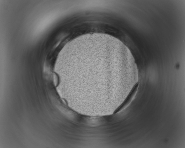 X0000116600191200912312105