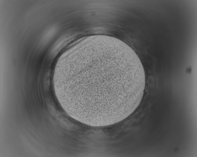 X0000116600194200912312104