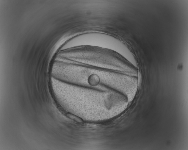 X0000116600195200912312104