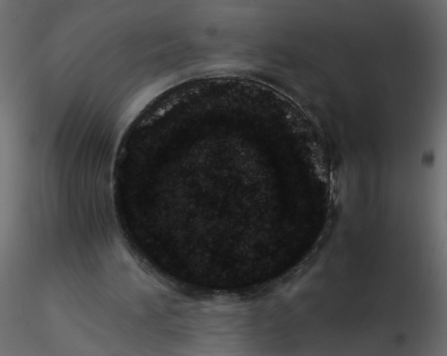 X0000116600196200912312104