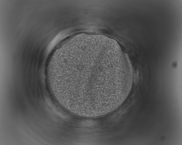 X0000116600198200912312104