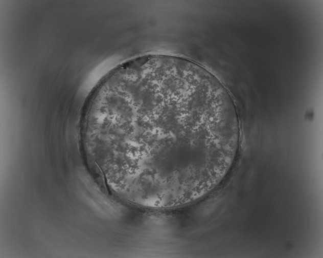 X0000116600199200912312104