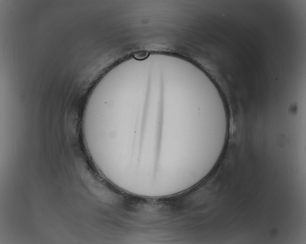 X0000116600201200912312104