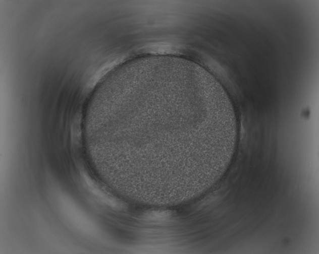 X0000116600202200912312104