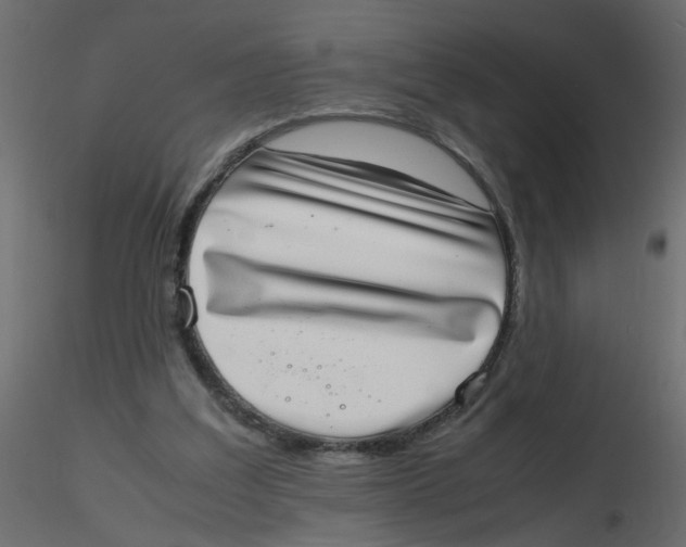 X0000116600203200912312104